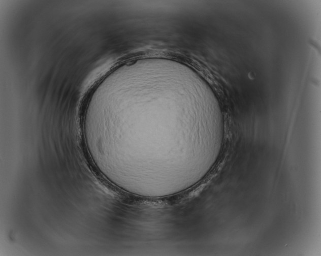 X0000092040245200710101002