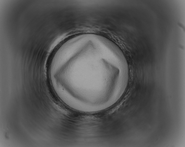 X0000092040246200710101002