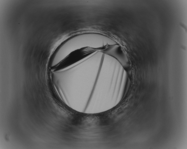 X0000092040248200710101002