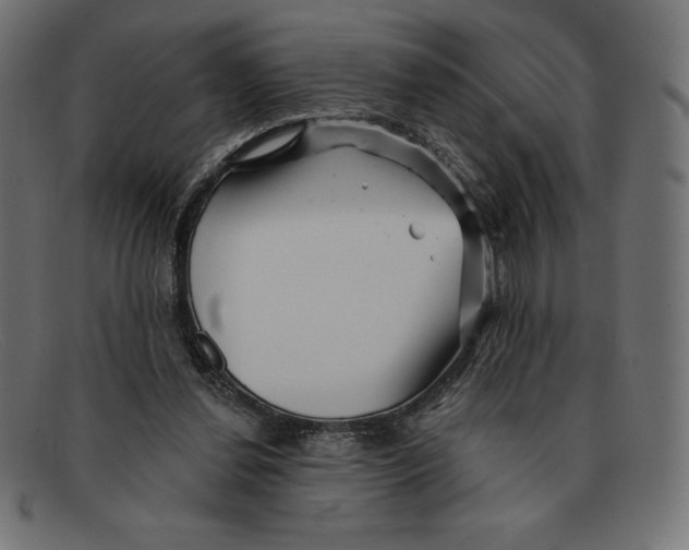 X0000092040252200710101003