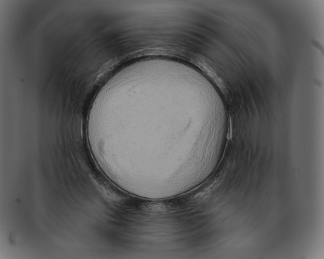 X0000092040253200710101003