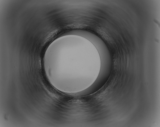 X0000092040254200710101003