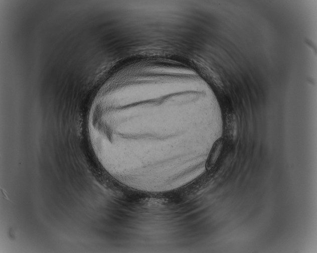 X0000092040255200710101003