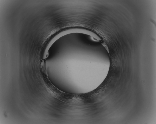 X0000092040256200710101003