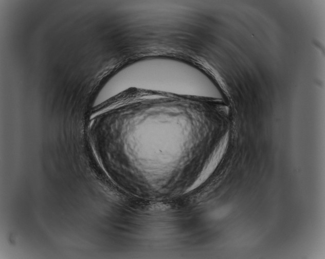 X0000092040257200710101003