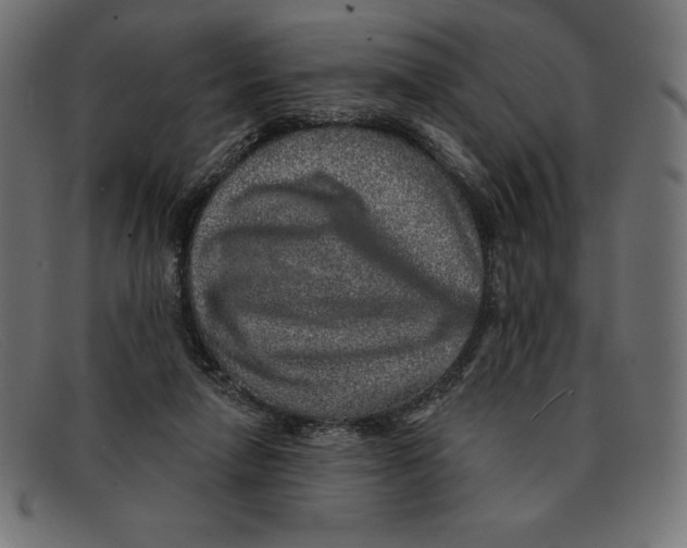 X0000092040258200710101003