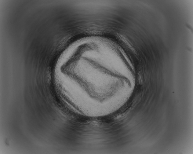 X0000092040259200710101003