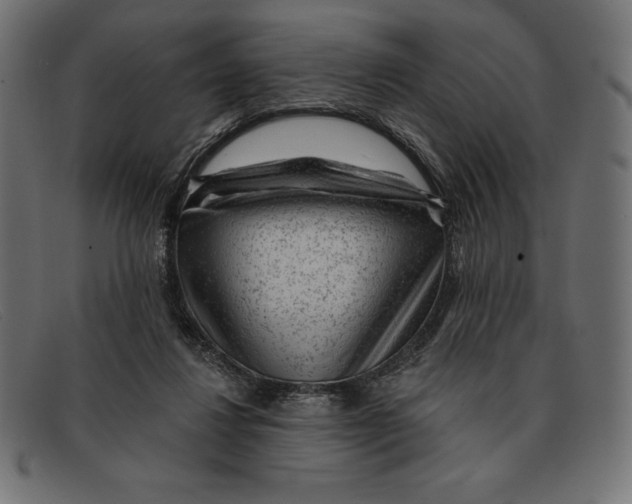 X0000092040260200710101003