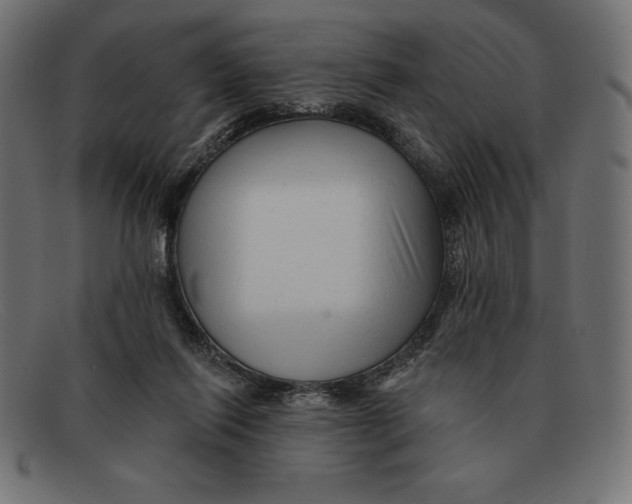 X0000092040262200710101003