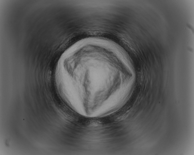 X0000092040263200710101003