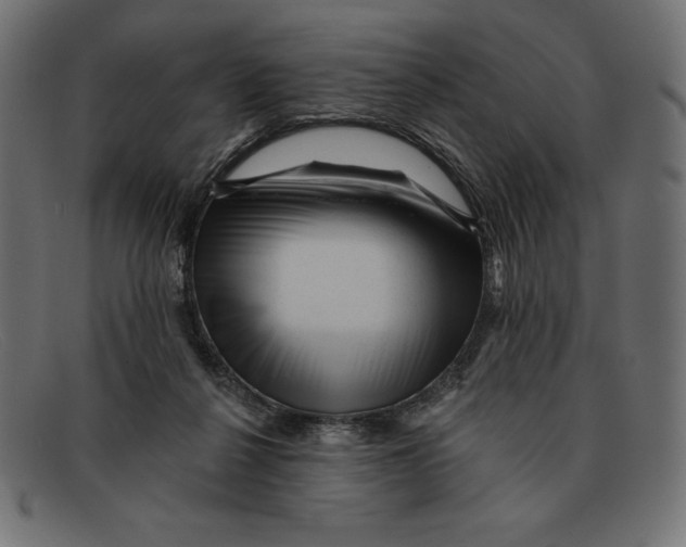 X0000092040264200710101003