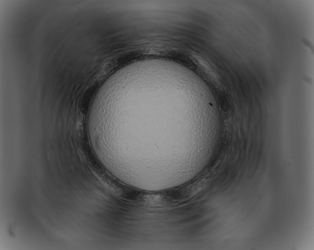 X0000092040265200710101003