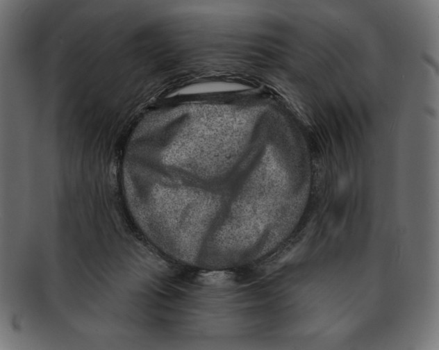 X0000092040269200710101003