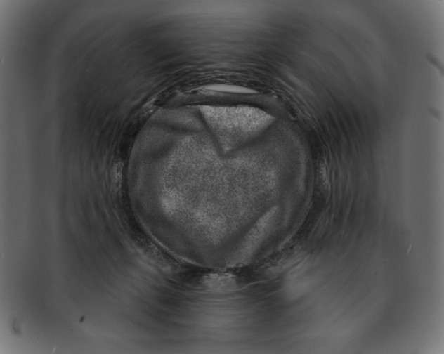 X0000092040271200710101003