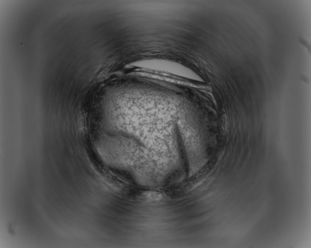 X0000092040272200710101003