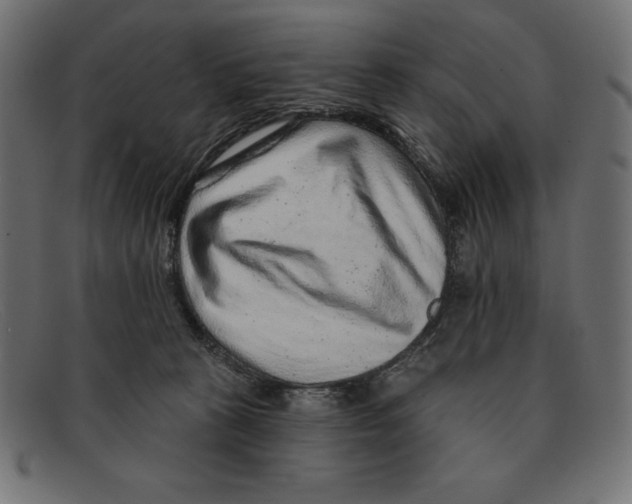 X0000092040273200710101003