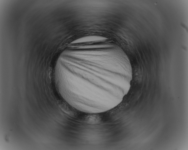 X0000092040275200710101003