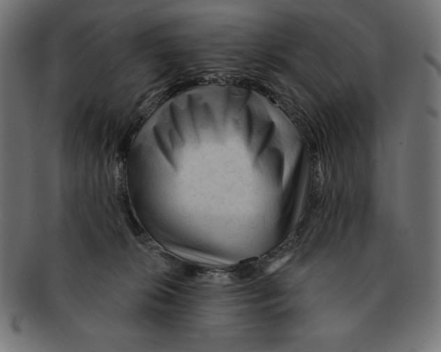 X0000092040276200710101003