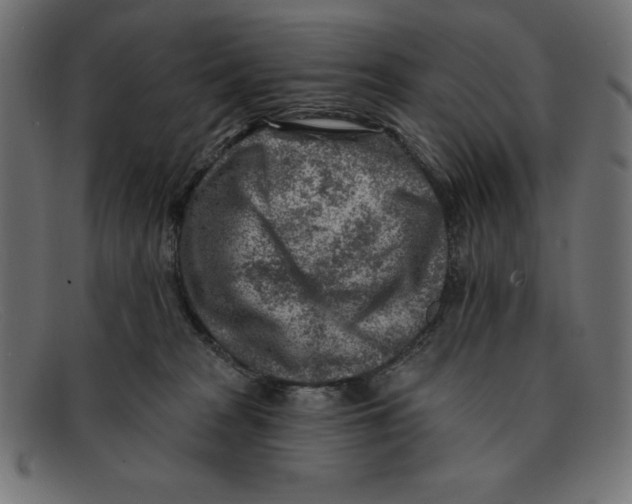 X0000092040277200710101003