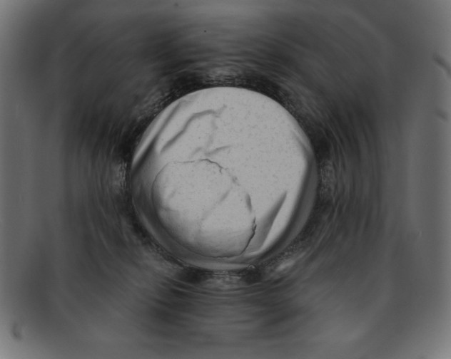 X0000092040278200710101003