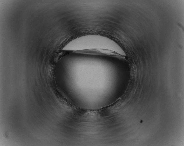 X0000092040280200710101003