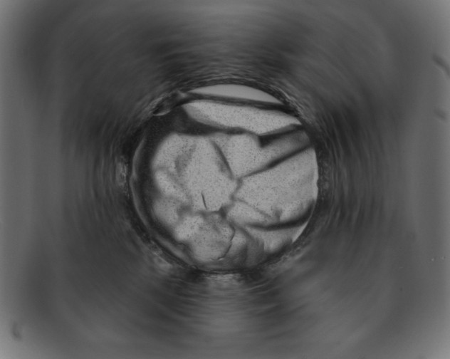 X0000092040281200710101003