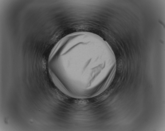 X0000092040282200710101003