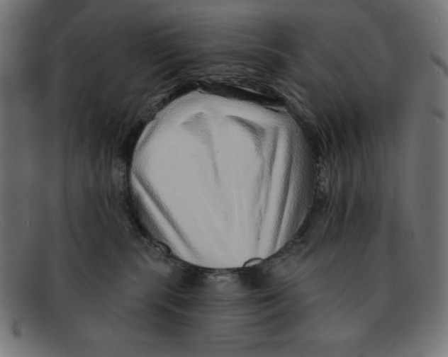 X0000092040283200710101003