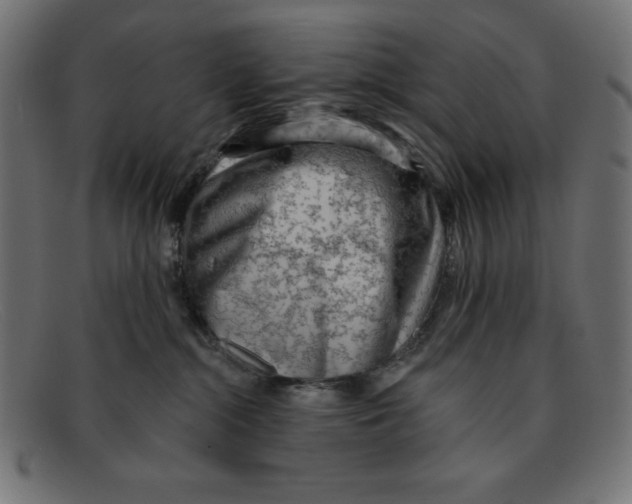 X0000092040284200710101003