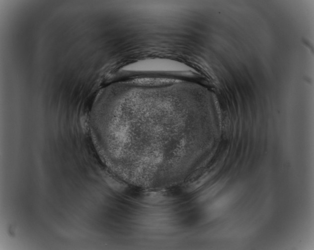 X0000092040285200710101003