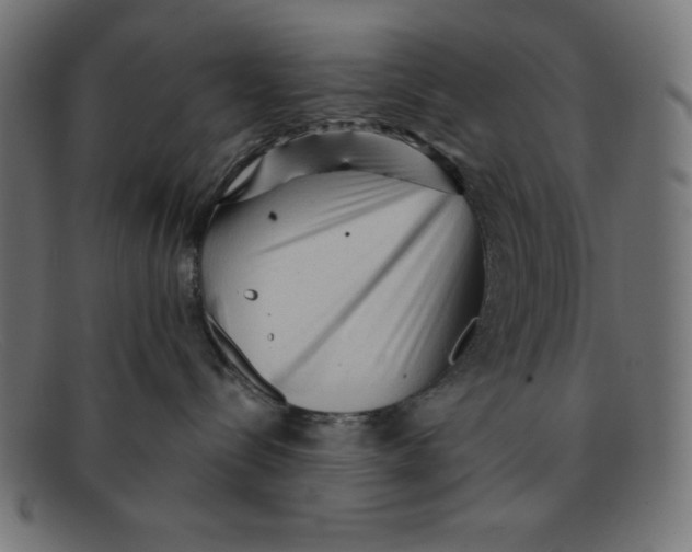 X0000092040288200710101003