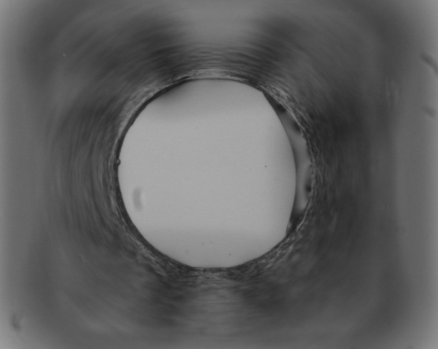 X0000092040289200710101002