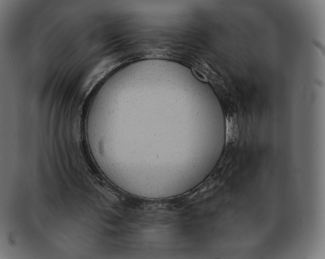 X0000092040291200710101002