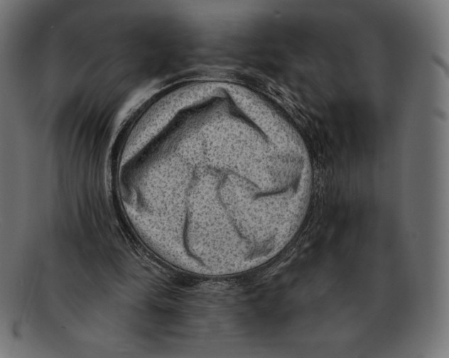 X0000092040294200710101002