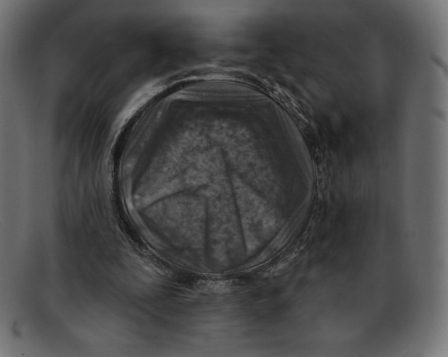 X0000092040295200710101002