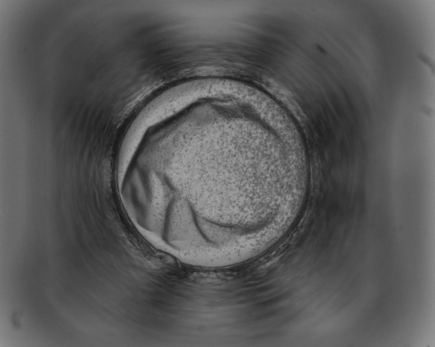 X0000092040297200710101002