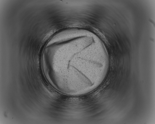 X0000092040298200710101002