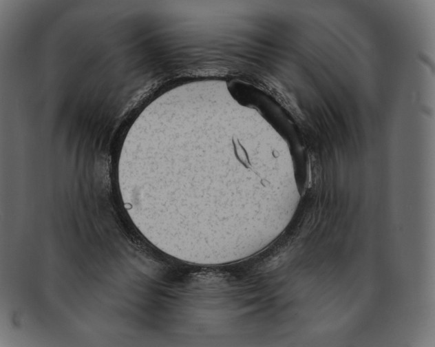 X0000092040300200710101002