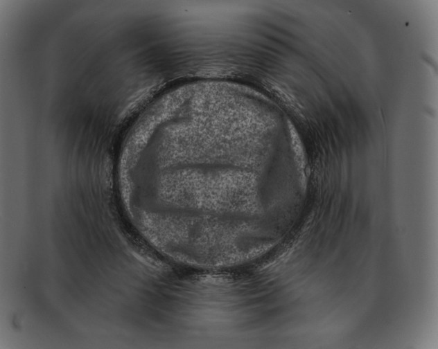 X0000092040303200710101002