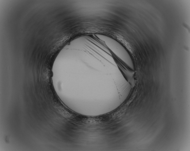 X0000092040305200710101002