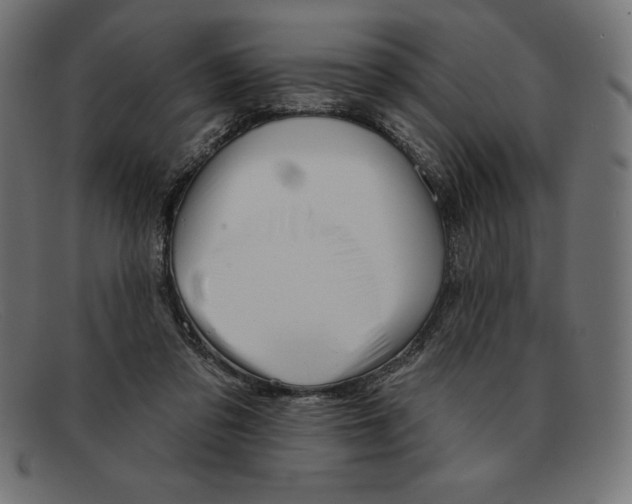 X0000092040309200710101002