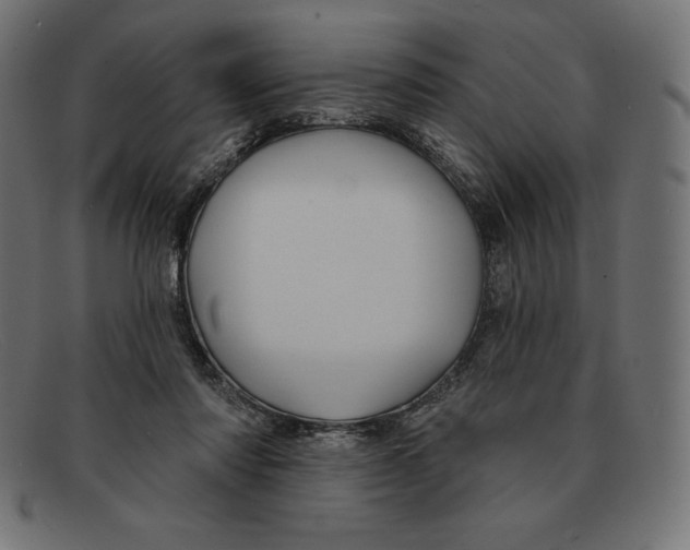 X0000092040310200710101002