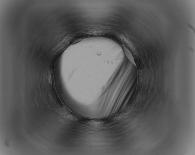 X0000092040313200710101002