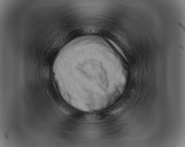 X0000092040315200710101002