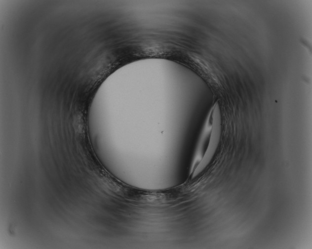 X0000092040317200710101002