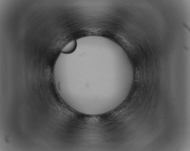 X0000092040318200710101002