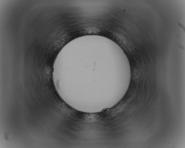 X0000092040321200710101002