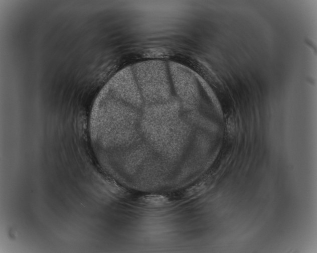 X0000092040322200710101002