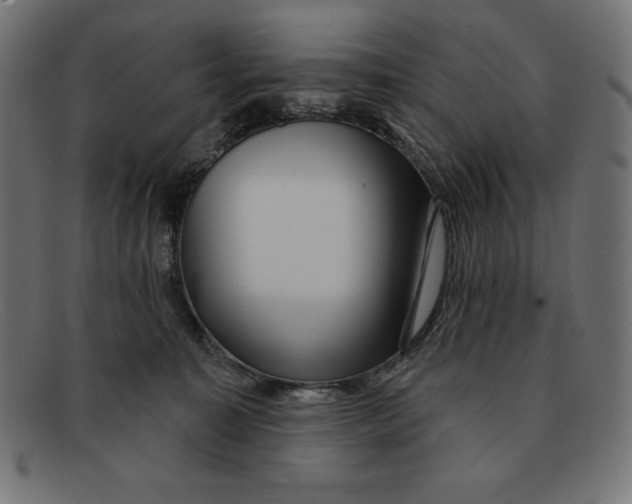 X0000092040323200710101002