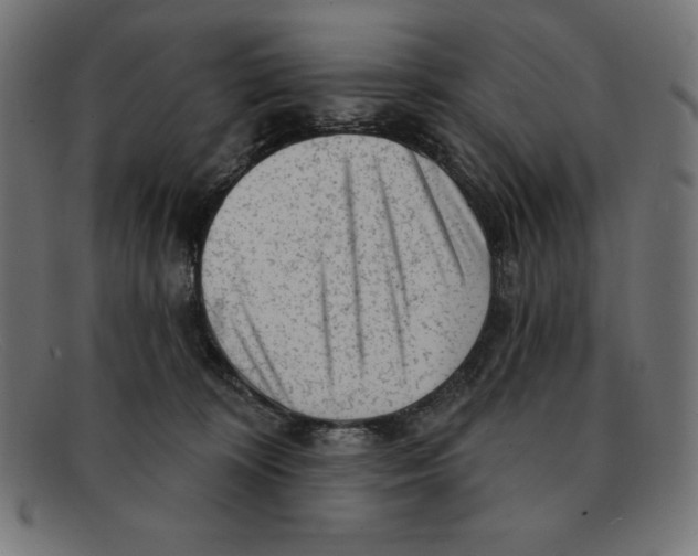 X0000092040324200710101002